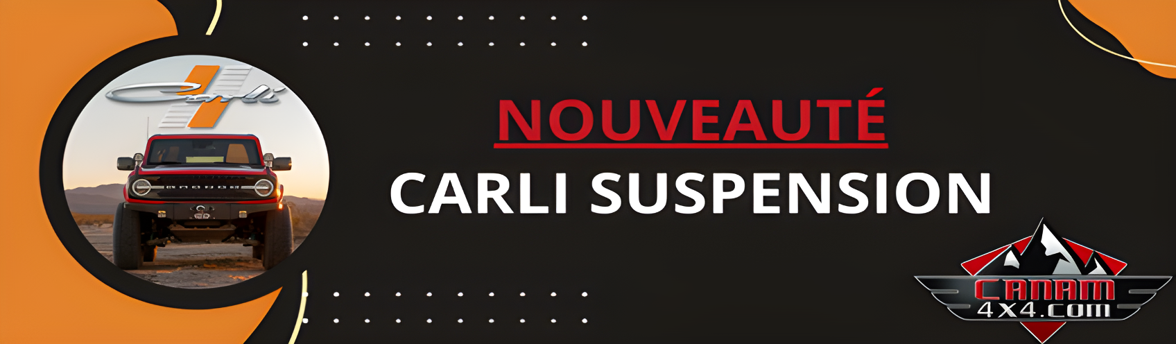 Carli Suspension (1)